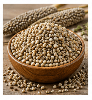 Bajra (Pearl Millet)